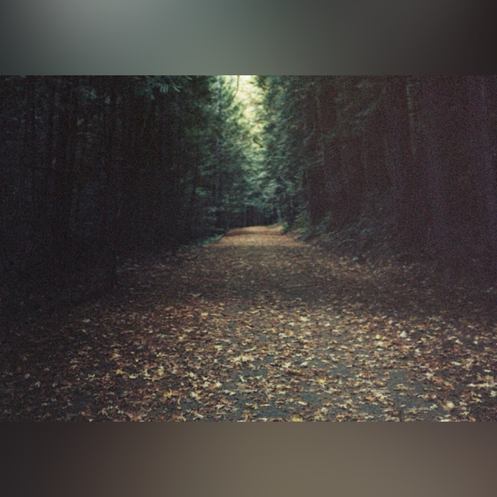 Meet your Posher, Rose